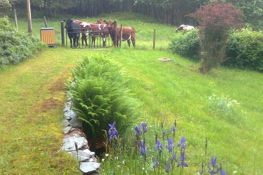 Alone In The Woods With Your Own River Nearby Fitjar Holiday home